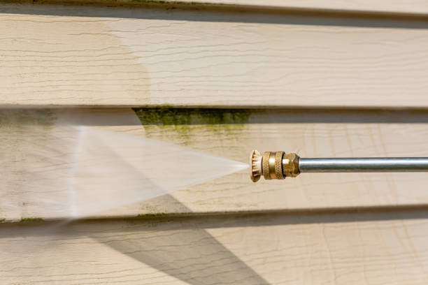 Best Local Pressure Washing Services  in Fort Branch, IN